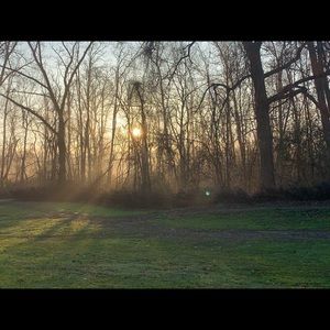 Meet your Posher, Camille